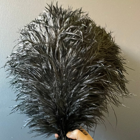OSTRICH FEATHER PLUMES ALL LENGTHS ALL COLORS(20"-22")-black