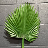 Green Palm Leaf (S)