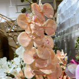 Blush LARGE REAL TOUCH PHALAENOPSIS ORCHID ARTIFICIAL FLOWER