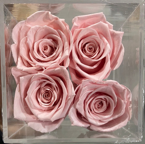Preserved Rose in acrylic box with drawer cherry pink light pink (box of 4)