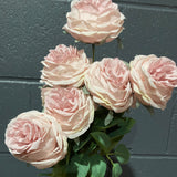 Dusty Pink Puffy ROSE BUNCH
