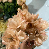 9 HEAD peonies BUNCH (brown)