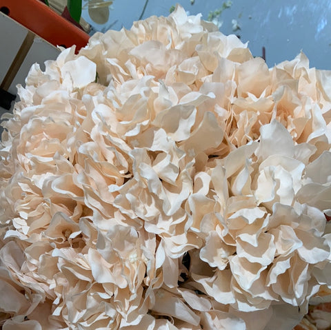 Artificial Flower peach Blush Hydrangea Bunch 6 head silk