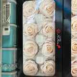Preserved Rose Pink (box of 8)