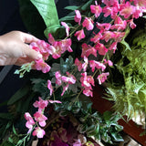 Hanging wisteria (Pink)-HAN1-2