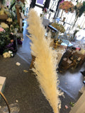 Large Cream pampas grass stem 40” tall