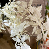 Cream (S) Lucky 🍀 flower Spray lilac color wedding greenery filler