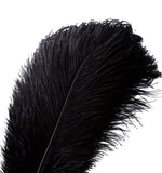 OSTRICH FEATHER PLUMES ALL LENGTHS ALL COLORS(20"-22")-black