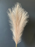 New short stem Coffee color artificial Pampas Grass Artificial