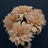 Chocolate Dahlia Bunch