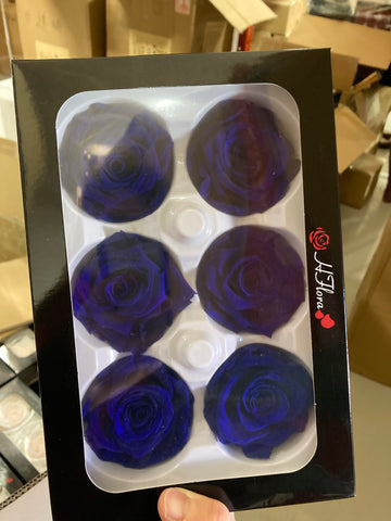 Preserved Rose Head Royal Blue (box of 6)