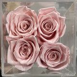 Preserved Rose in acrylic box with drawer White (box of 4)