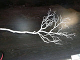 Faux Manzanita branch (White)- FAU1-1 - Richview Glass Wedding Supplies