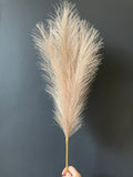 New short stem Coffee color artificial Pampas Grass Artificial