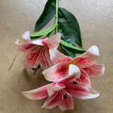 NEW Pink Soft Touch Stargazer Lily