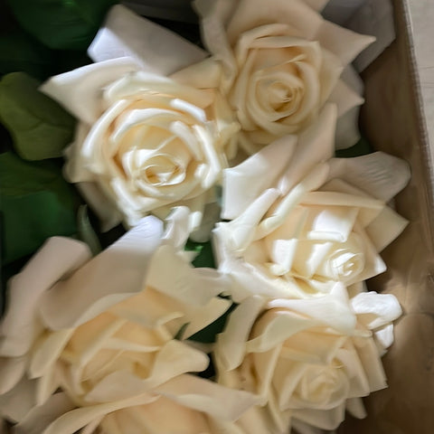 New Champagne Duchess Moist TouchT Open Rose (White)