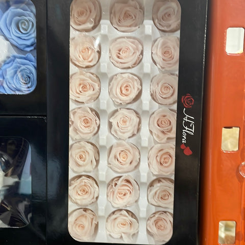 thumbnail interactive-video image 1 of Fleurombre Preserved Fresh Rose Heads – 21 Count – 3-3.5cm – Dried Flowers In Gift Box 1 of 6