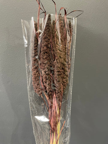 Preserved Wheat brown