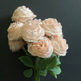 Blush puffy ROSE BUNCH