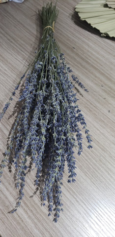 Small Dried purple preserved lavender