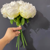Peony Bouquet Handtied (cream)-PEO1
