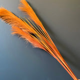 Burnt Orange Pampas Grass Artificial Flower