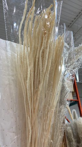 Dried preserved grass