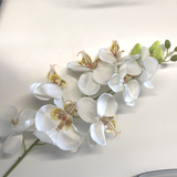 Artificial Flower phalaenopsis small orchids silk flower white