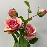Single Stem RocoCo Rose Light Mixed Hot pink