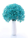Preserved baby’s breath bunch Turquoise