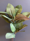 Artificial Magnolia Leaf Single Stem Greenery