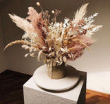 Preserved pampas grass (pack of 6)