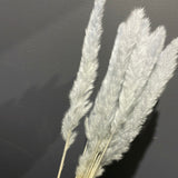 25” Dusty Blue pack of 15 pampas grass stick (M)