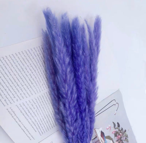 25” Purple pampas grass stick (M)