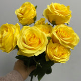 Lemon yellow 10 head Diamond Rose yellow