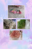 Preserved baby’s breath bunch Turquoise