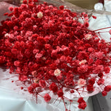 Preserved baby’s breath bunch Red