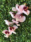 Spotted Pink LARGE REAL TOUCH PHALAENOPSIS ORCHID ARTIFICIAL FLOWER