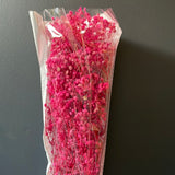 Preserved baby’s breath bunch hot Pink