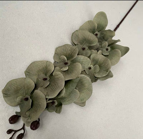 Dark Green Phalaenopsis Orchid Artificial Flower (White) Silk wedding flower