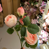 Single Stem RocoCo RANUNCULUS pink