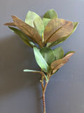 Artificial Magnolia Leaf Single Stem Greenery