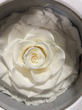 Preserved Jumbo Rose Gift Box White