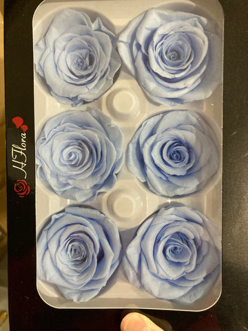 Preserved Rose Head baby Light Blue (box of 6)