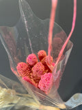 Preserved Wheat Pink