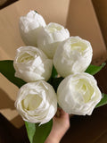 6xMoist/real Touch Tulip (white)