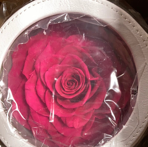 Jumbo Rose Gift Box Rosie/hot pink