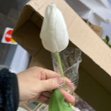 Moist Touch Tulip Bud Medium Wedding Decor (White) Single stem