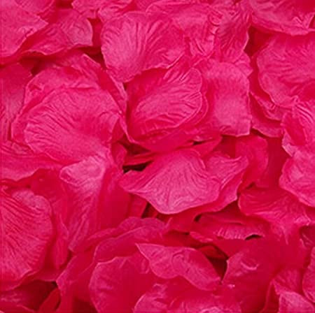 Hot Pink Silk Rose Petal