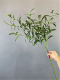 Green Artificial flower Olive leaf only